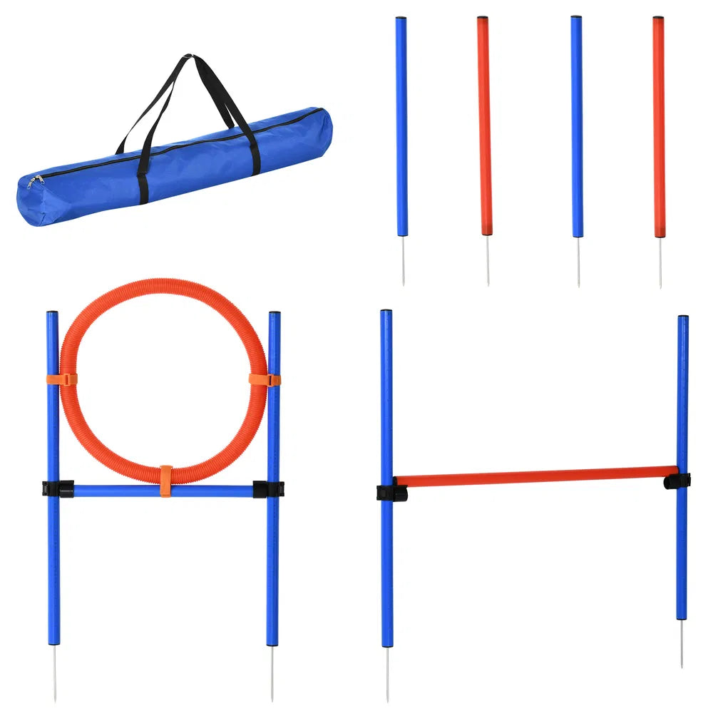 Dog Pet Agility Training Kit – Blue, Red