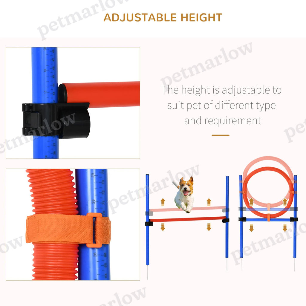 Dog Pet Agility Training Kit – view 6