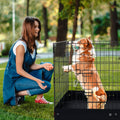 Dog Playpen 4 Panels Foldable Exercise Pen for Small Pets – Black