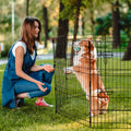 Foldable Metal Dog Playpen with Pad Cover – Black