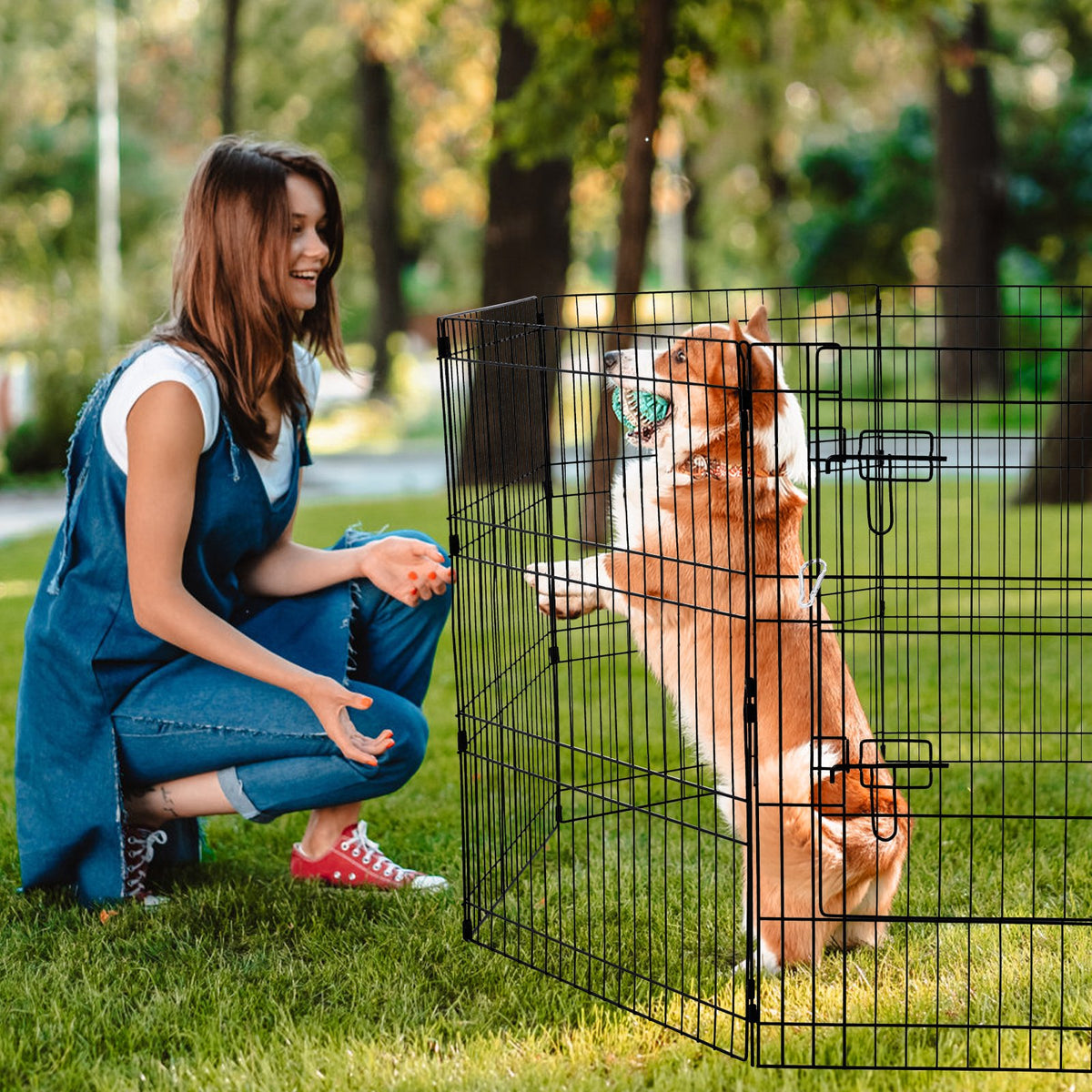 Foldable Metal Dog Playpen with Pad Cover – Black