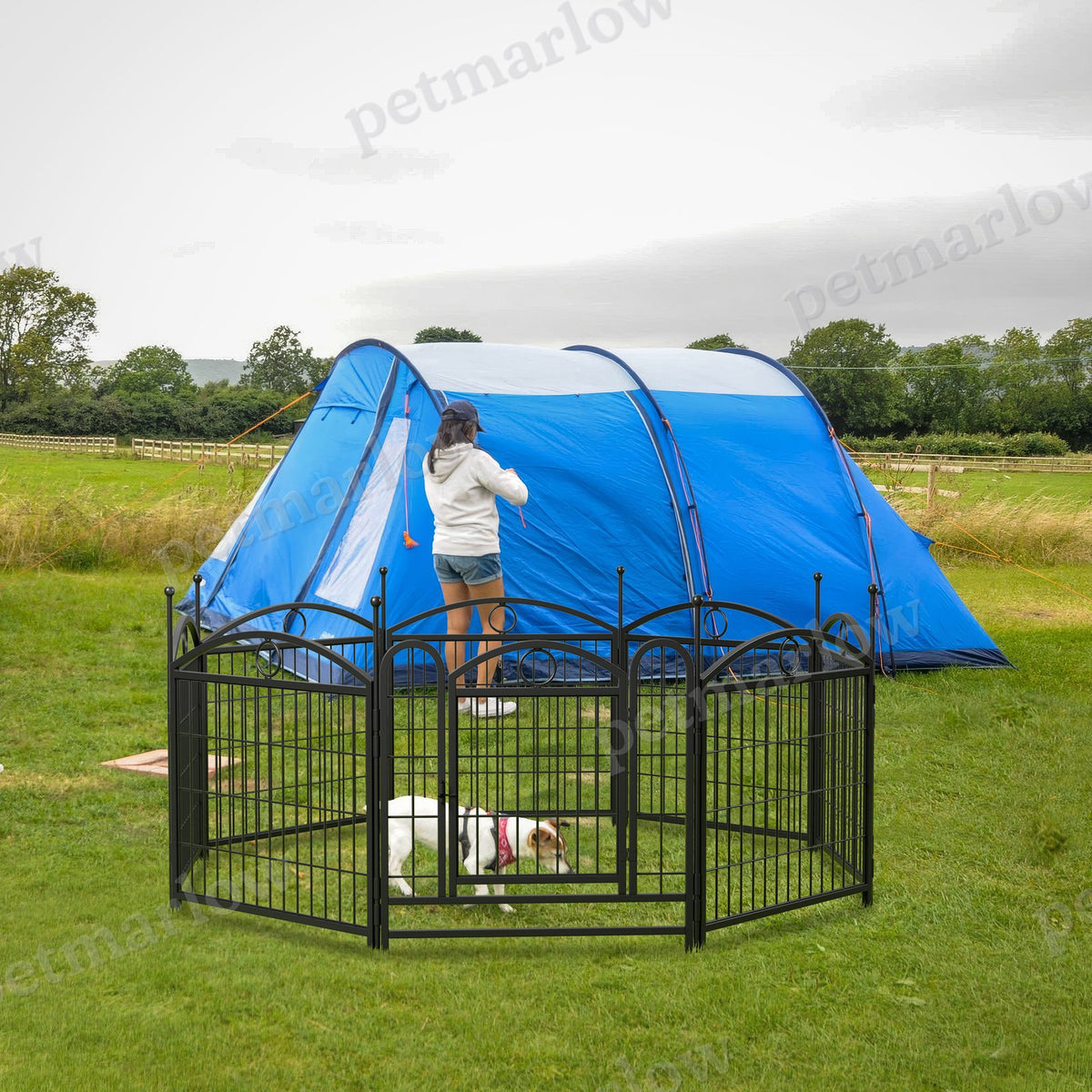 Dog Playpen Indoor 24 Inch Heavy Duty Metal Fence for Pets – view 2