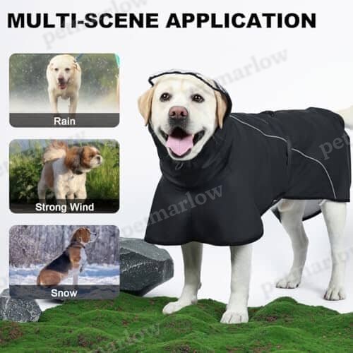 Dog Poncho with Reflective Strap and Transparent Hat Brim (Medium) – view 2
