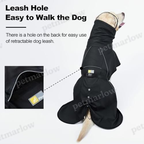 Dog Poncho with Reflective Strap and Transparent Hat Brim (Medium) – view 4