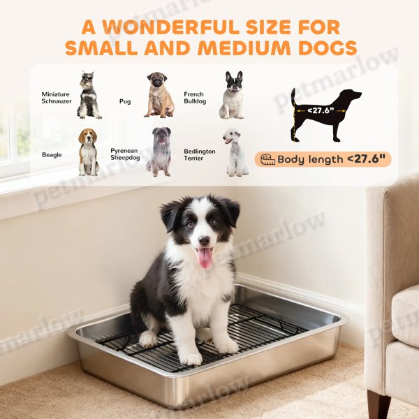 Dog Potty Tray – view 3