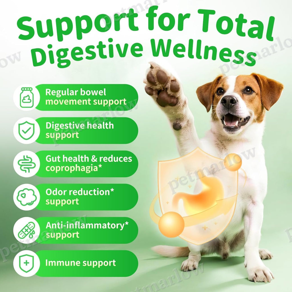 Dog Probiotics and Digestive Enzymes Chews for Gut Health – view 4
