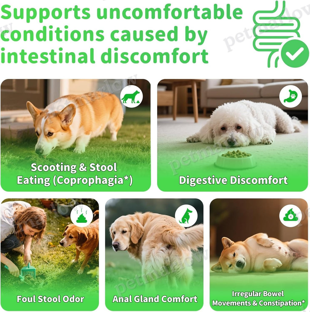 Dog Probiotics and Digestive Enzymes Chews for Gut Health – view 5