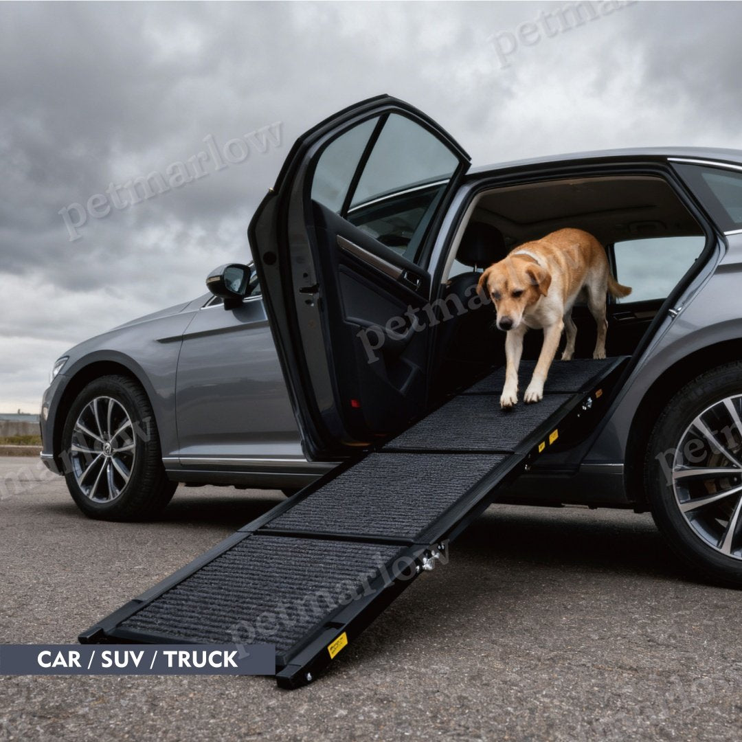 Portable Dog Ramp for Cars – view 5