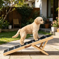 Dog Ramp with Adjustable Height for Easy Access – view 2