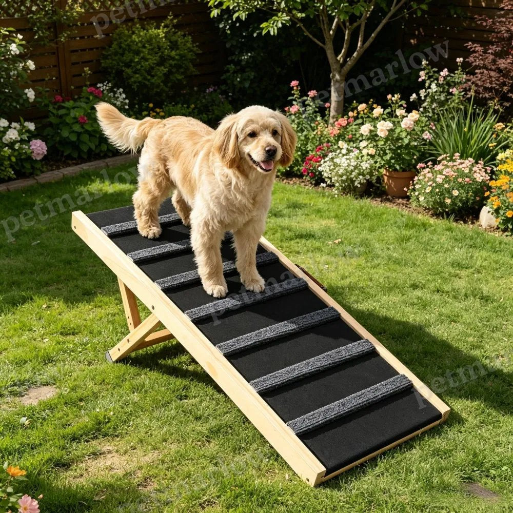 Dog Ramp with Adjustable Height for Easy Access – view 4