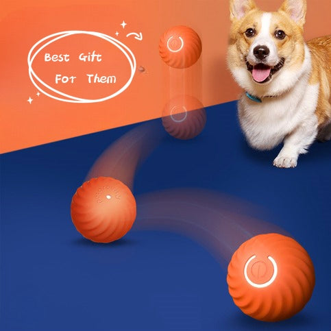 Dog Rubber Ball Toys for Chewing and Training
