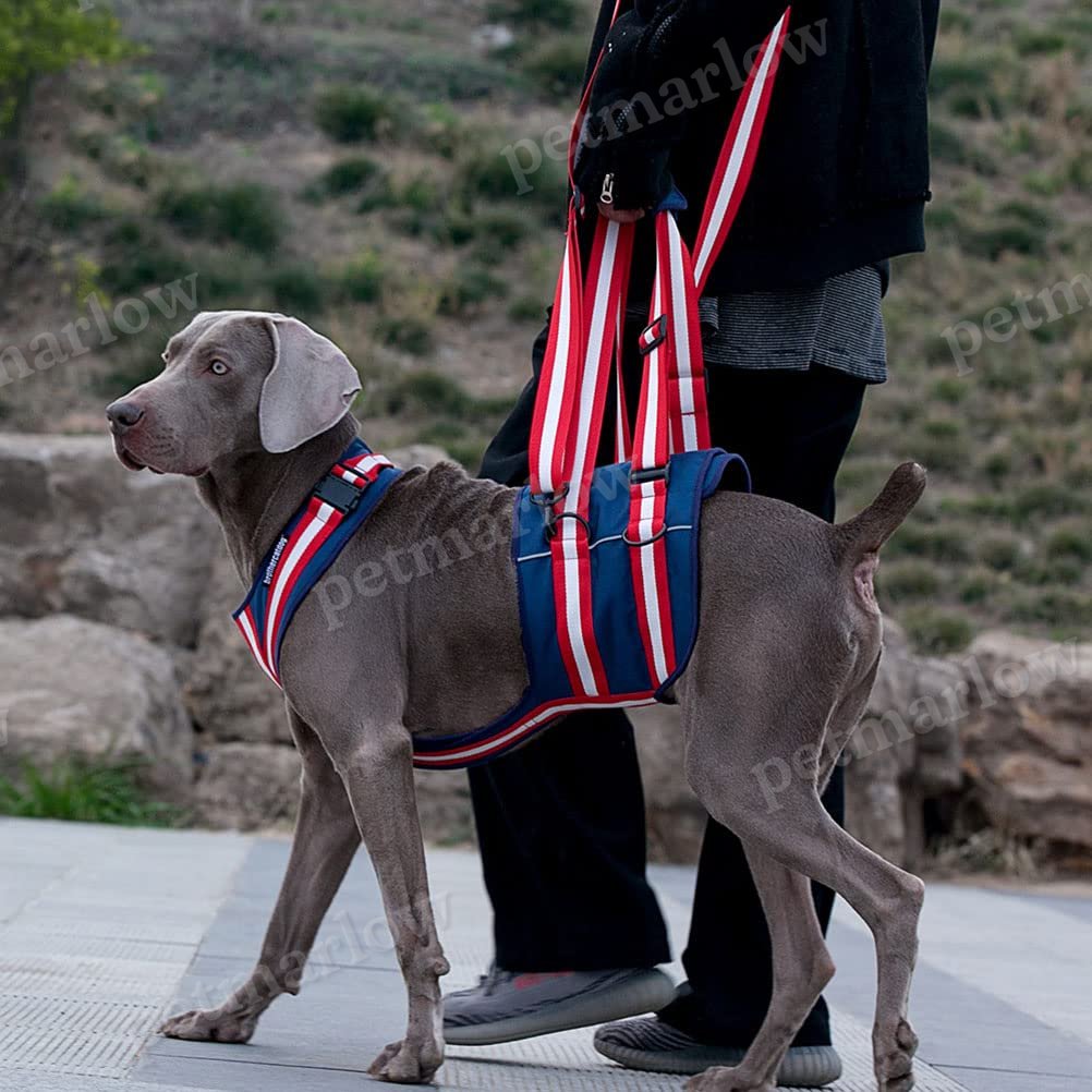 Dog Sling Harness Pet Dog Traction Belt Harness For Large Medium Small Dogs – view 5