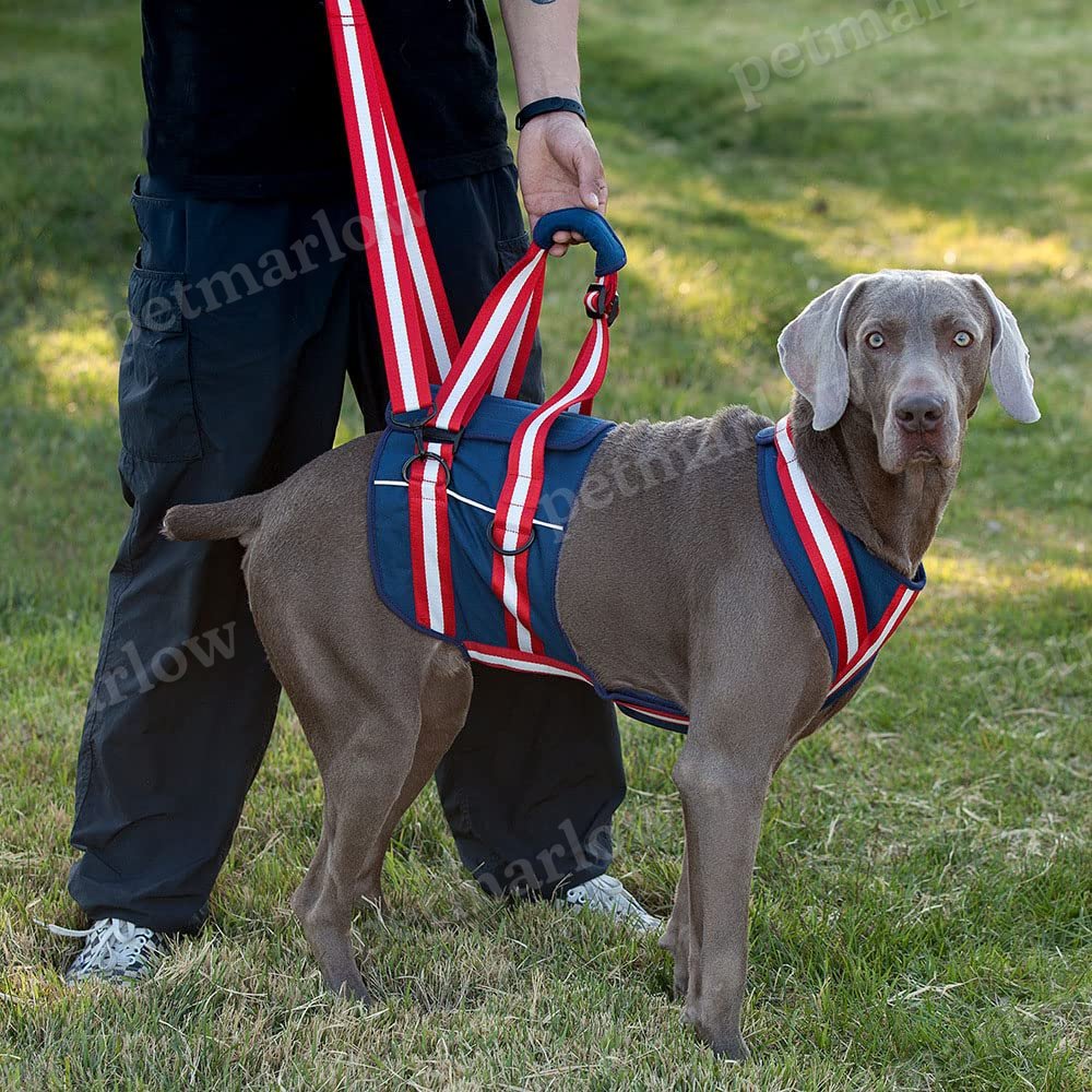 Dog Sling Harness Pet Dog Traction Belt Harness For Large Medium Small Dogs – view 6
