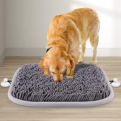 Dog Sniffing Interactive Feeding Game Boredom