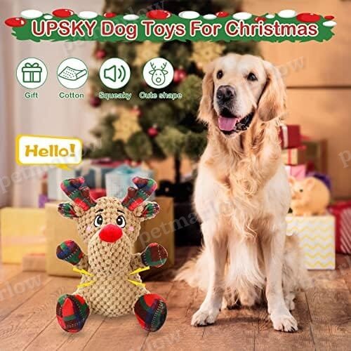 Dog Squeaky Toy with Crinkle Paper – view 6