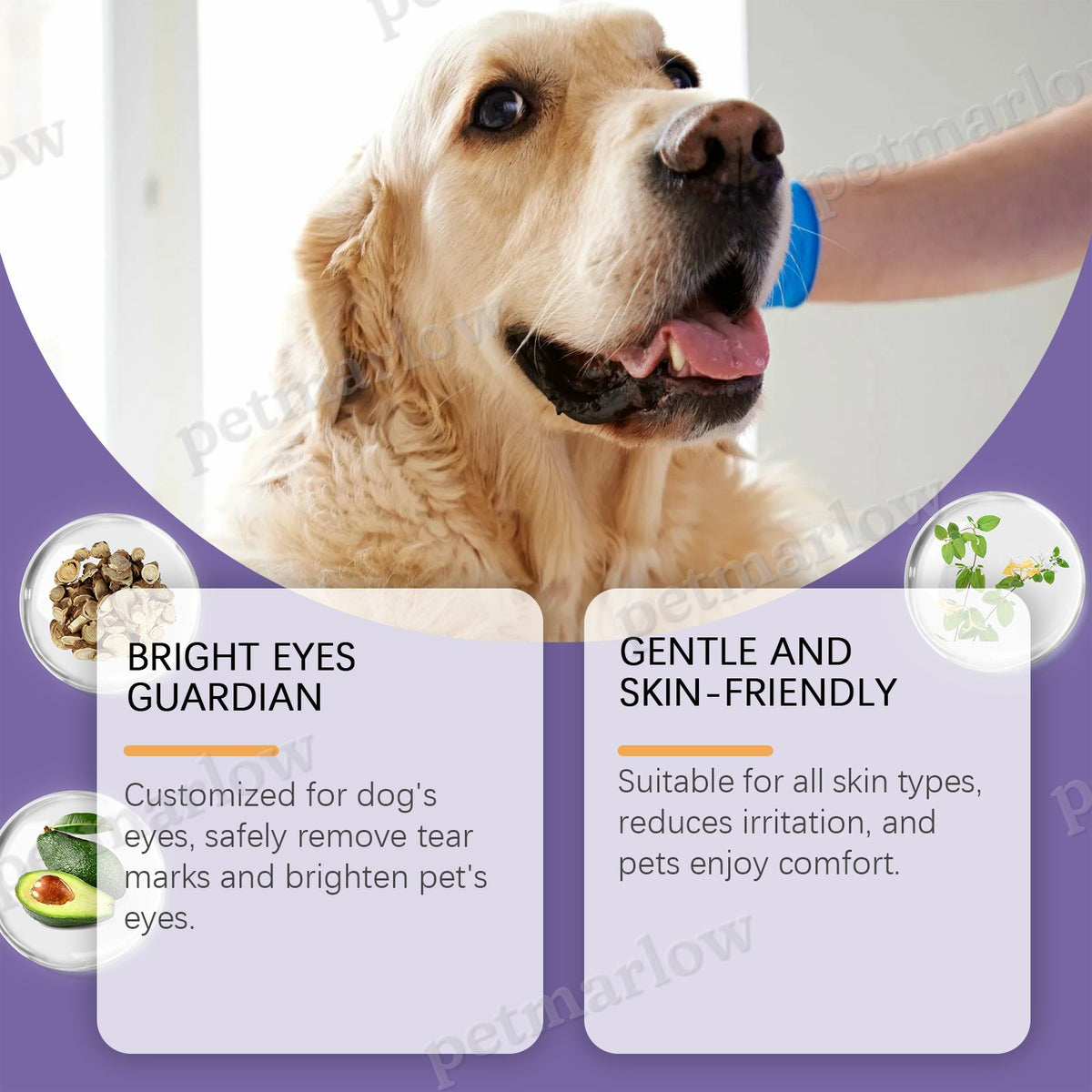 Dog Tear Stain Paste for Gentle Stain Removal – view 2
