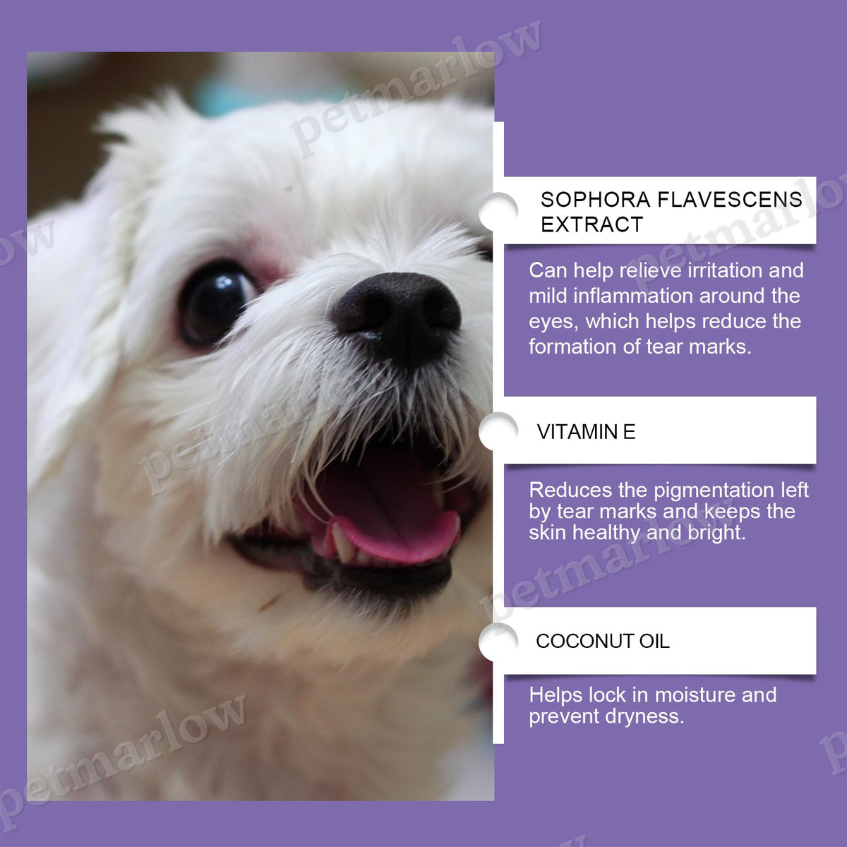 Dog Tear Stain Paste for Gentle Stain Removal – view 6