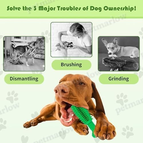 Dog Teeth Cleaning Toys No Brush Dog Teeth Cleaning – view 4