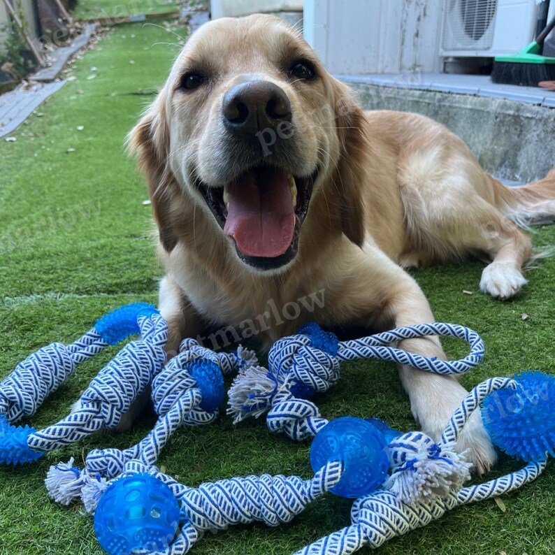 Dog Toy with Rubber Ball and Rope - Chew, Tug, and Play Toy – view 6