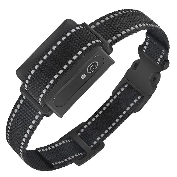 Dog Training Collar Receiver with Waterproof Design