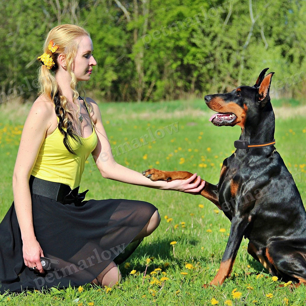 Dog Training Collar with Remote and 3 Training Modes – view 3