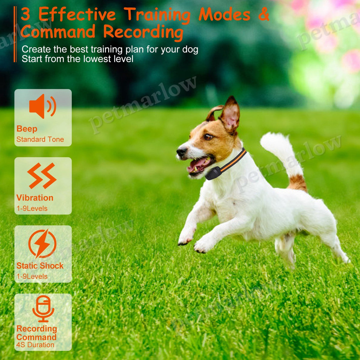 Dog Training Collar with Remote and 3 Training Modes – view 4