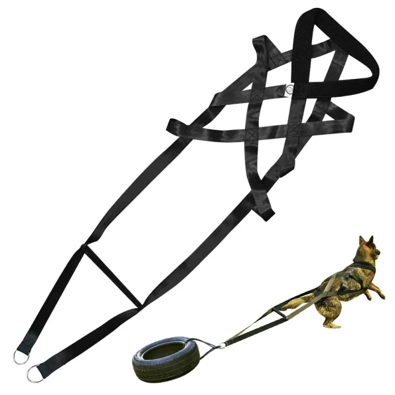Dog Training Harness with Handles and Hoops – Durable and Adjustable – Black / 110 cm
