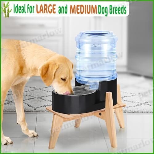Dog Water Bowl Dispenser Stand – view 4
