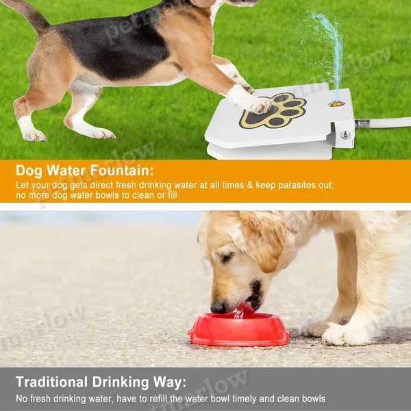 Dog Water Fountain for Outdoor Use with Step-On Activation – view 4