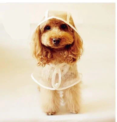 Transparent Waterproof Dog Raincoat – view 11