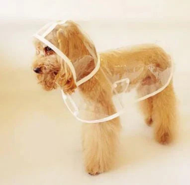 Transparent Waterproof Dog Raincoat – view 12