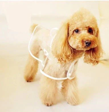 Transparent Waterproof Dog Raincoat – view 13