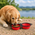 Petmarlow 2-In-1 Collapsible Travel Bowl (Hangable) – Red