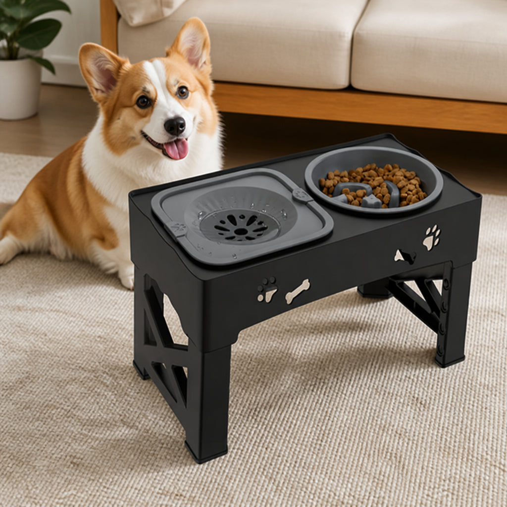 Petmarlow Adjustable 5-Height Foldable Elevated Pet Feeder
