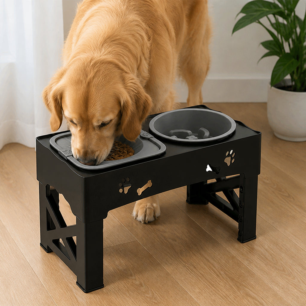 Petmarlow Adjustable 5-Height Foldable Elevated Pet Feeder – black