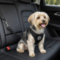 Petmarlow Adjustable Breathable Mesh Dog Car Safety Harness – XS