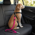 Petmarlow Adjustable Durable Nylon Dog Leash (Quick-Release)