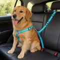Petmarlow Adjustable Elastic Bungee Dog Seat Belt – blue