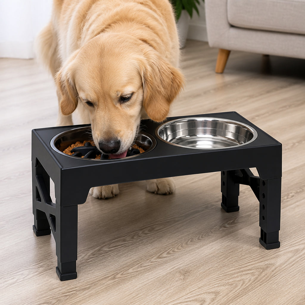 Petmarlow Adjustable Elevated Double Stainless Steel Bowl Feeder