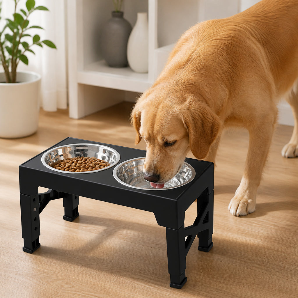 Petmarlow Adjustable Height Dog Feeder (Double Stainless Bowls) – Dog bowls / 16.9 x 9.1 in