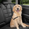 Petmarlow Adjustable Nylon Headrest Pet Seat Belt – black 1pc