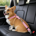 Petmarlow Adjustable Shock-Absorbing & Reflective Dog Car Safety Belt – 1 PCS-Pink