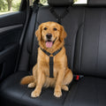 Petmarlow Adjustable Stretch Nylon Car Seat Belt – black