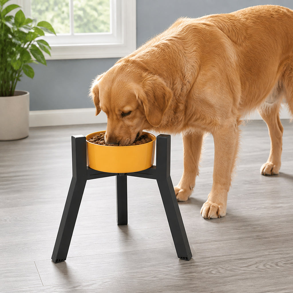 Petmarlow Adjustable Width & Foldable Elevated Dog Bowl Stand