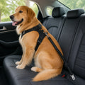 Petmarlow Breathable Mesh & Elastic Tether Dog Car Harness