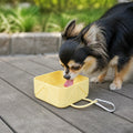 Petmarlow Collapsible Silicone Pet Travel Bowl – Yellow