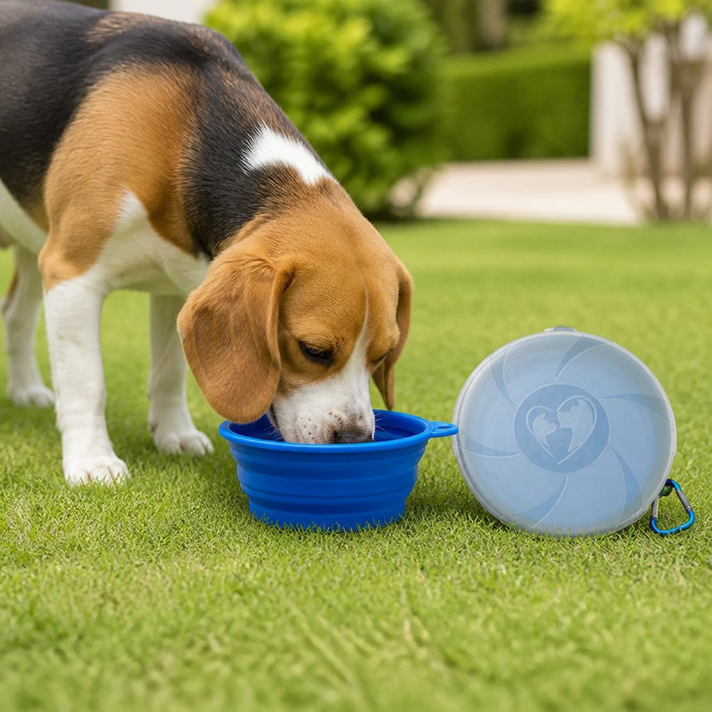 Petmarlow Collapsible Silicone & Travel-Friendly Dog Bowl