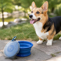 Petmarlow Collapsible Silicone & Travel-Friendly Dog Bowl – Blue