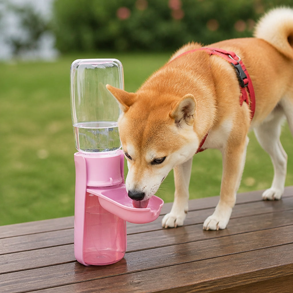 Petmarlow Compact & Collapsible Pet Water Bottle