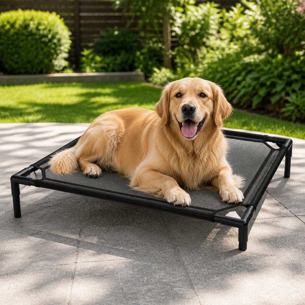 Petmarlow Cooling Breathable Mesh Elevated Dog Bed